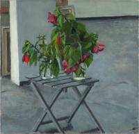 Two Kinds of Hibiscus on  Chair