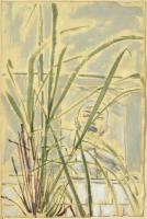 Lemon Grass II